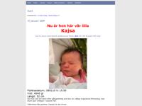  Homepage of Malin and Henrik 